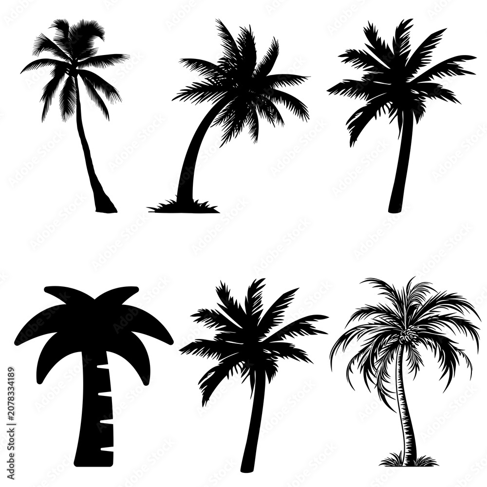 Fototapeta premium Set of stylized palm tree silhouettes on transparent background for tropical design projects
