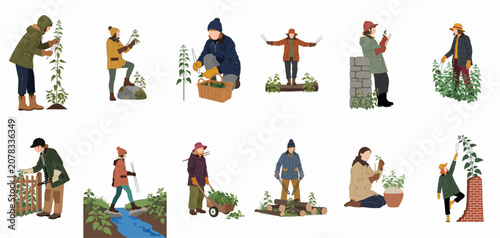 Photos Collection of flat vector illustrations depicting people foraging and harvesting wild stinging nettles in various outdoor and garden environments