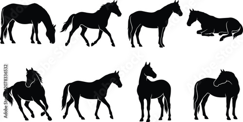 Bild auf Leinwand Horse silhouette collection with grazing running standing resting and elegant eq