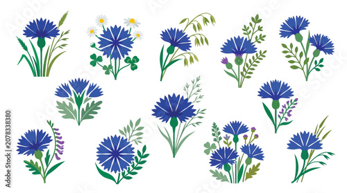 Foto Collection of beautiful blue cornflower illustrations with green leaves and other wildflowers