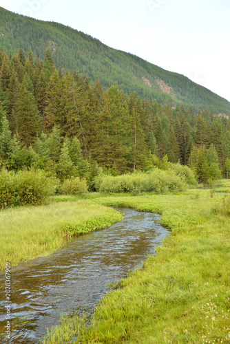 A bend in the bed of a narrow river flowing through a clearing on the edge of a coniferous forest at the foot of the mountains on a summer day.