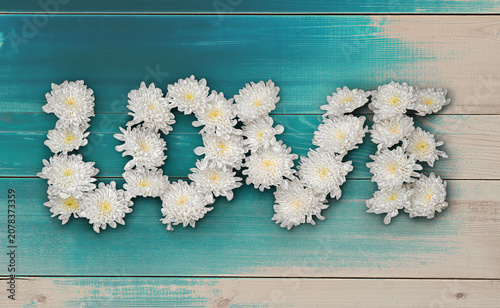 Word Love from White Flowers on Wooden Surface. Top View Photo. Valentines Day and Love Wallpaper Background. File with Clipping Path.