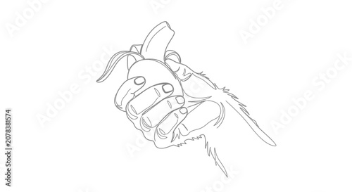 Photography Hand holding a banana, line art illustration, minimalist, white background