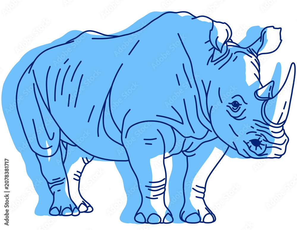 Fototapeta premium A White Rhinoceros Standing (Three-Quarter View), Sketch-Style Line Illustration with Blue Shading