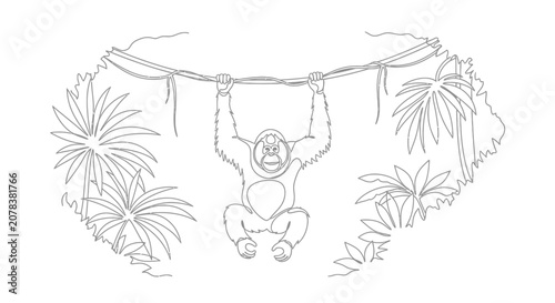 Photography Orangutan Swinging on Vines in Lush Jungle - Line Art Illustration