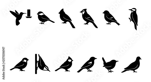 Bild auf Leinwand Vector Bird Silhouettes Collection: Hummingbird, Cardinal, Woodpecker, Dove Icon