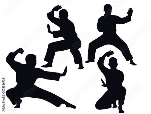 Fotografía Silhouette of Martial Artists in Various Kung Fu Poses