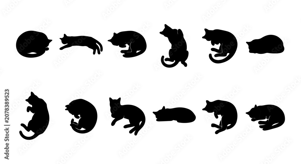 Obraz premium Vector Cat Silhouettes Collection, Diverse Poses, Black Feline Icons for Pet Lovers and Design