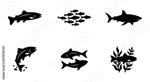 Diverse Fish Icons Set, Aquatic Life Silhouettes, Marine Animal Vector Collection