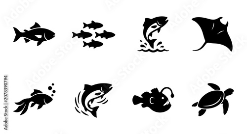Photography Marine Life Icons Set: Fish, Turtle, Ray, Anglerfish, Aquatic Animals Vector Gra