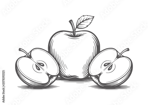 фотографія Whole and halved apples in a sketchy black and white style fruit