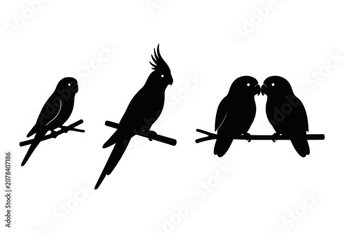 Quadro em tela Black silhouette pet parrots vector illustration set featuring perched parakeet