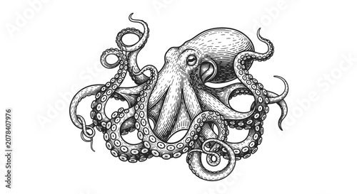 Foto Detailed Hand Drawn Octopus Illustration in Vintage Engraving Style