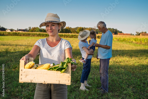 Young woman with her whole family standing on agricultural field with freshly picked organic corn in wooden crate 