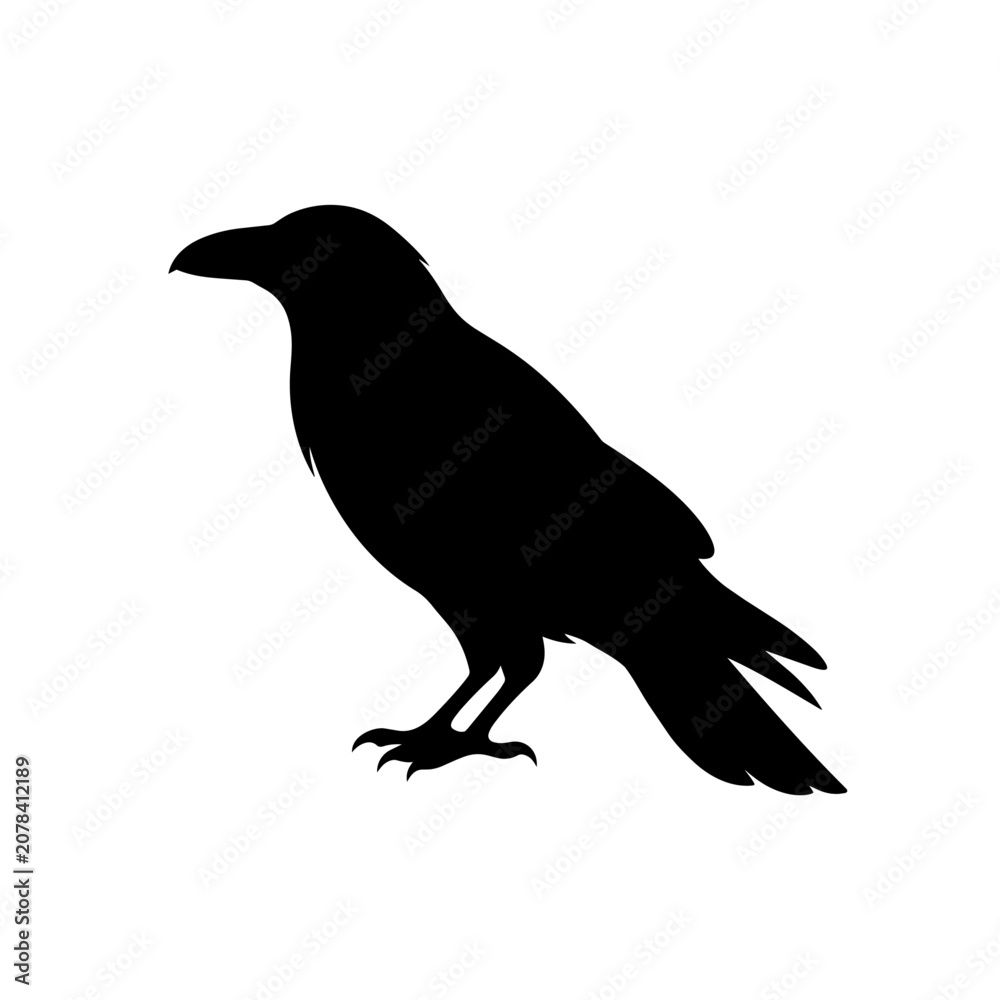 Fototapeta premium A black silhouette of a crow standing on ground facing left side
