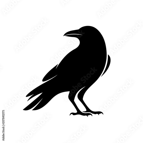 Konstfotografi A black silhouette of a raven stands on ground