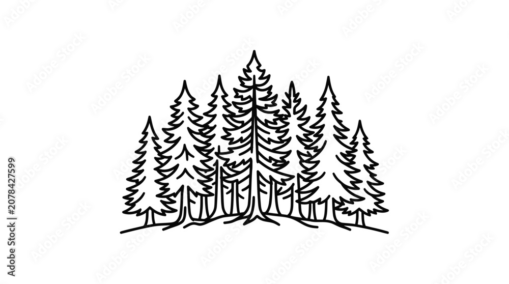 Obraz premium Detailed group of evergreen pine trees line art.
