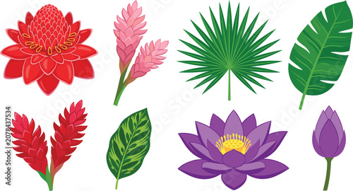 Konstfotografi Exotic Tropical Botanical Flower and Leaf Vector Icon Set Featuring Torch Ginger