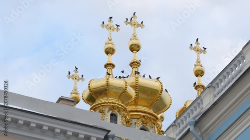 Large gathering of hooded crows on domes of church in town, wild birds fly over roof and sitting on crosses preparing for night rest, ornithology and birdwatching, behavior of corvids in urban city.