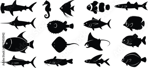 Photography Fish and sea creatures silhouette icons set vector illustration isolated on whit