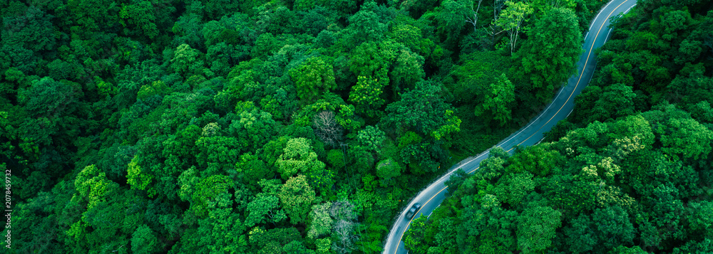 Naklejka premium Forest road background with strong commercial application for sustainability reports, corporate responsibility documents, and green investment communications.