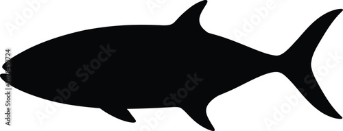 Quadro su tela Tuna fish silhouette vector icon isolated on white background for marine wildlif