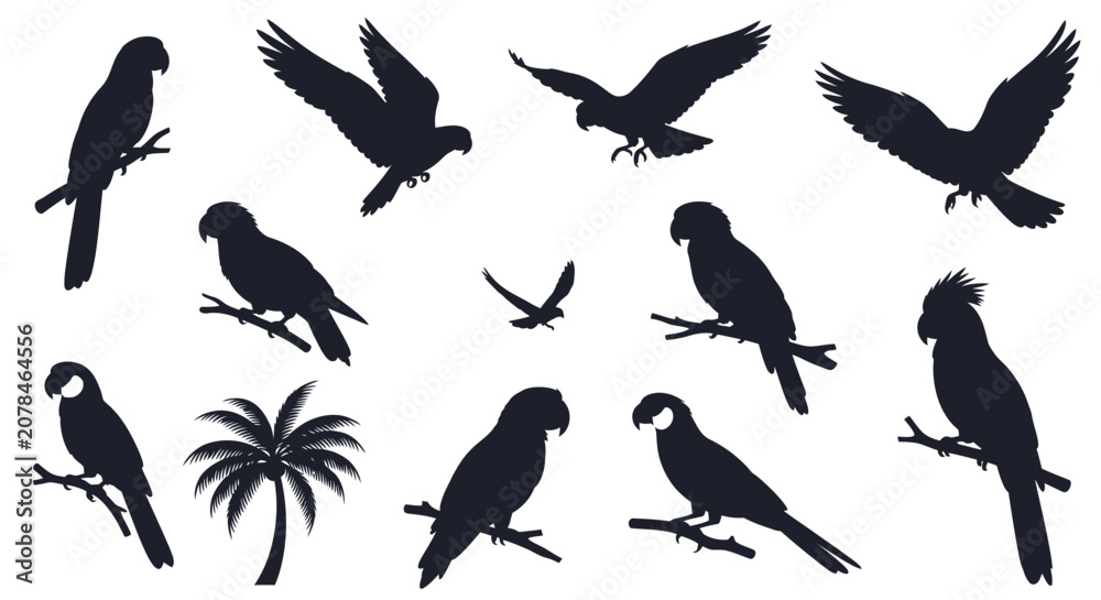 Fototapeta premium Black silhouettes of various parrots and a palm tree on white background