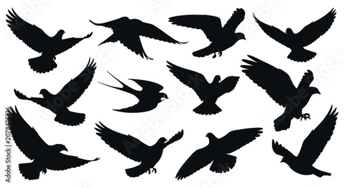 Canvas Print Black silhouettes of birds in various flying positions