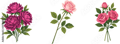 Фотография Vintage rose and peony flower bouquet vector illustration collection with pink b