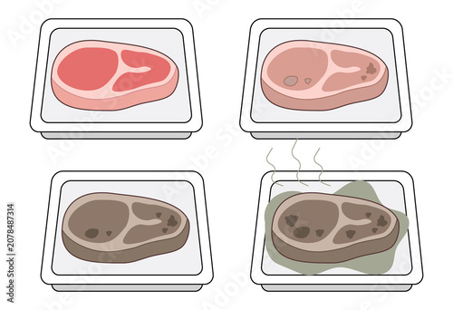 Food Spoilage Process with Bacterial Growth Infographic Vector Illustration for Food Safety Education and Hygiene Awareness