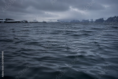 A black scoter duck diving into cold ocean waves, ripples on water.