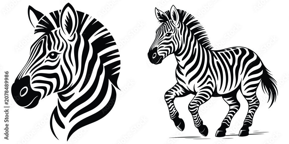 Obraz premium Zebra Head and Running Foal Vector Set, African Wildlife Zebra, Decorative Head Silhouette and Trotting Foal Black White, Monochrome African Safari Animal
