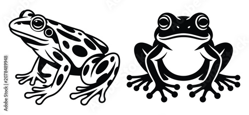 Canvastavla Spotted & Silhouette Frog Vector Illustration, Black and white frog, spotted toa