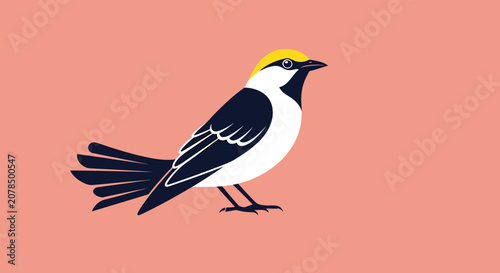 Small bird illustration with black and white feathers and a distinctive bright yellow cap on its small head.