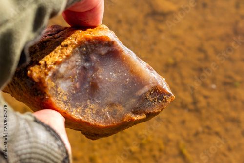 Konstfotografi Hand holding a raw pink chalcedony concretion with a fresh fracture, displaying
