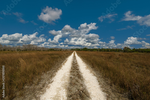 A long, straight dirt road vanishing into the horizon under a blue sky with puffy clouds
