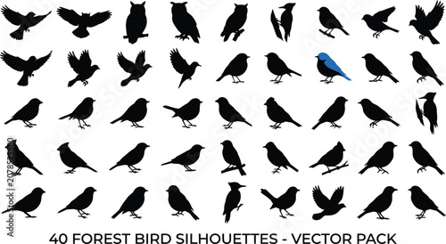 Foto Collection of 40 black bird silhouettes, including owls, woodpeckers, and songbi