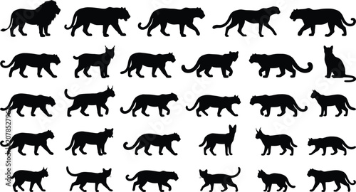 Photography Collection of black silhouettes of various big cats and domestic cats in motion