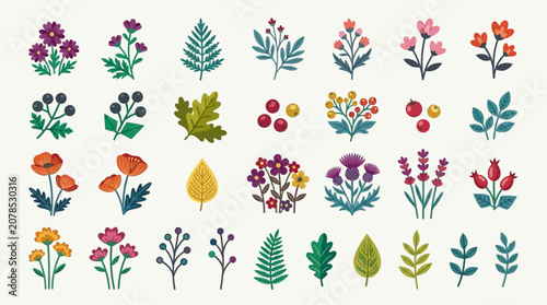Collection of beautiful floral and botanical illustrations