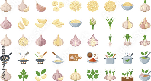 Tableau sur toile Fresh Garlic Vegetable and Cooking Ingredient Flat Icon SetFresh Garlic Vegetabl