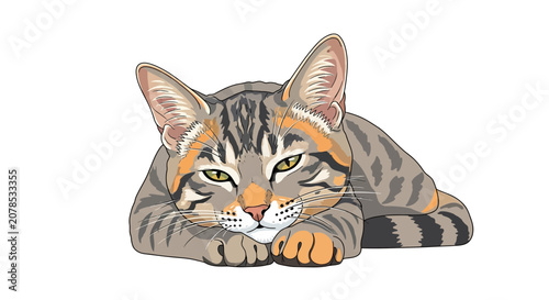 White cat stretching isolated on a clean white background with copy space