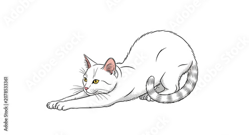 White cat stretching isolated on white background digital illustration design