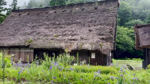 Traditional Gassho-zukuri houses in rainy Shirakawa-go village with misty mountains, Japan