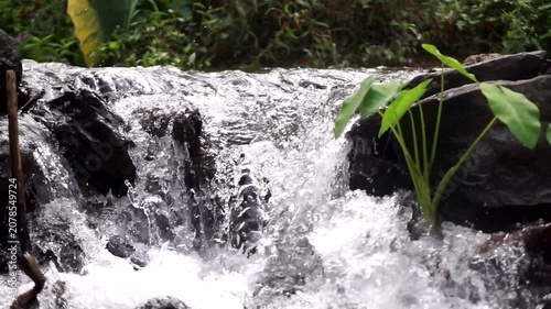 Low-angle view of a natural rocky river surrounded by wild tropical vegetation, showcasing the beauty of a clean and unpolluted freshwater ecosystem.