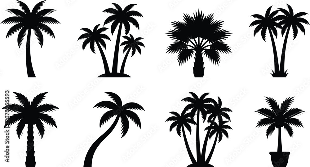 Fototapeta premium Collection of black palm tree silhouettes isolated on transparent background, tropical vector illustration.