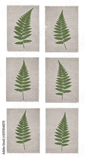 A set of six identical fern leaves on a textured gray background