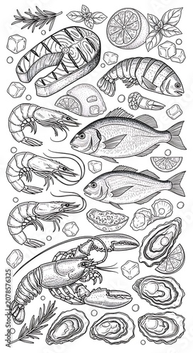 Detailed Illustration of Various Marine Creatures and Shells for Educational Use.