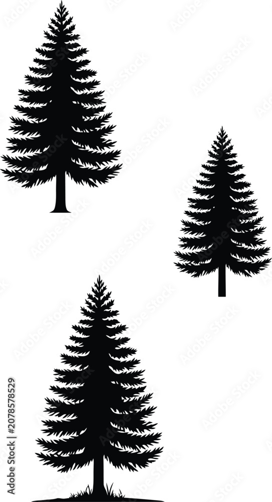 Fototapeta premium Black pine tree silhouettes against white background minimalist
