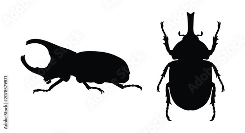 Bild auf Leinwand Two rhinoceros beetle silhouettes showcase distinct poses against a white backgr