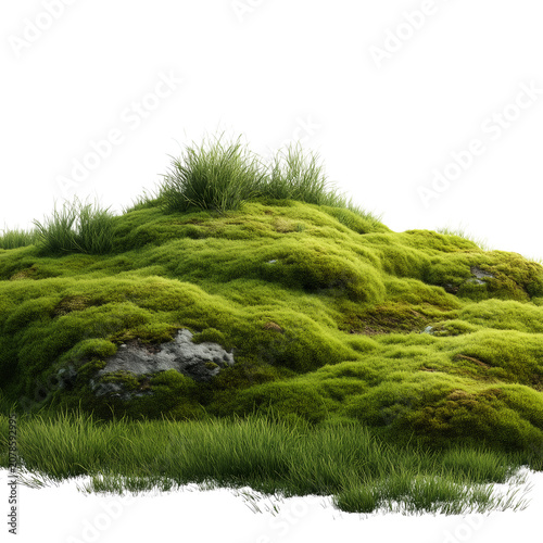 Lush green moss and grass hill isolated on transparent background